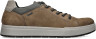 IGI&CO Enea Gtx cipele