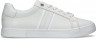 Calvin Klein Low Pro Lace Up tenisice